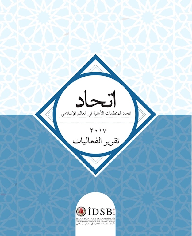 2017 Activity Report